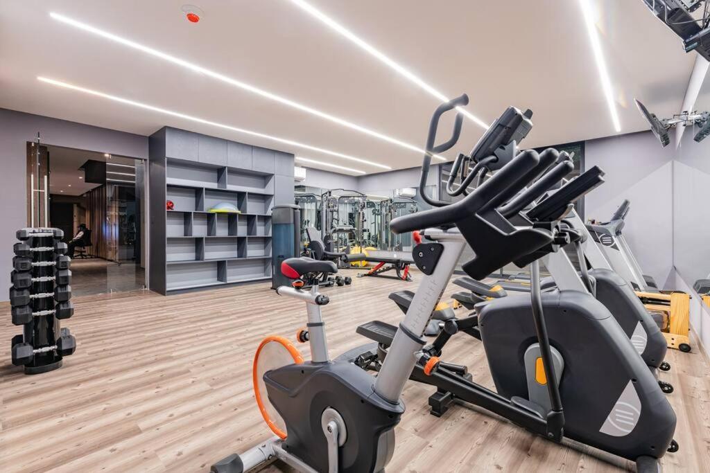 African Vibes, Roof Top/gym, Across Parque Espana Mexico City